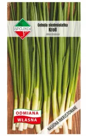 cebula-siedmiolatka-kroll-wieloletnia-mrozoodporna-nasiona-2g-spojnia