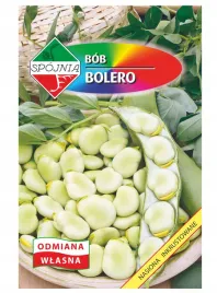 bob-bolero-wczesny-duzy-smaczny-nasiona-50g-spojnia