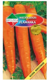 marchew-jadalna-flamanka-pozna-nasiona-5g-spojnia