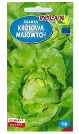 salata-krolowa-majowych-nasiona-1g-polan