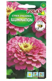cynia-daliowa-illumination-amarantowo-rozowa-nasiona-kwiatow-1g-polan