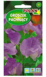 groszek-pachnacy-liliowo-modry-nasiona-kwiatow-3g-polan