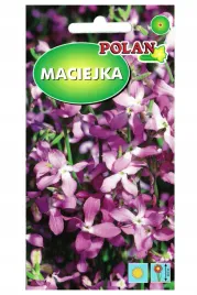 maciejka-pieknie-intensywnie-pachnaca-nasiona-5g-polan