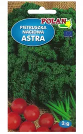 pietruszka-naciowa-astra-kedzierzawa-nasiona-2g-polan