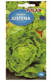 salata-glowiasta-maslowa-justyna-wczesna-nasiona-1g-polan