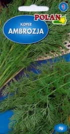 koper-ogrodowy-ambrozja-nasiona-5g-polan