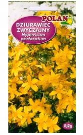 dziurawiec-zwyczajny-leczniczy-nasiona-ziol-02g-polan