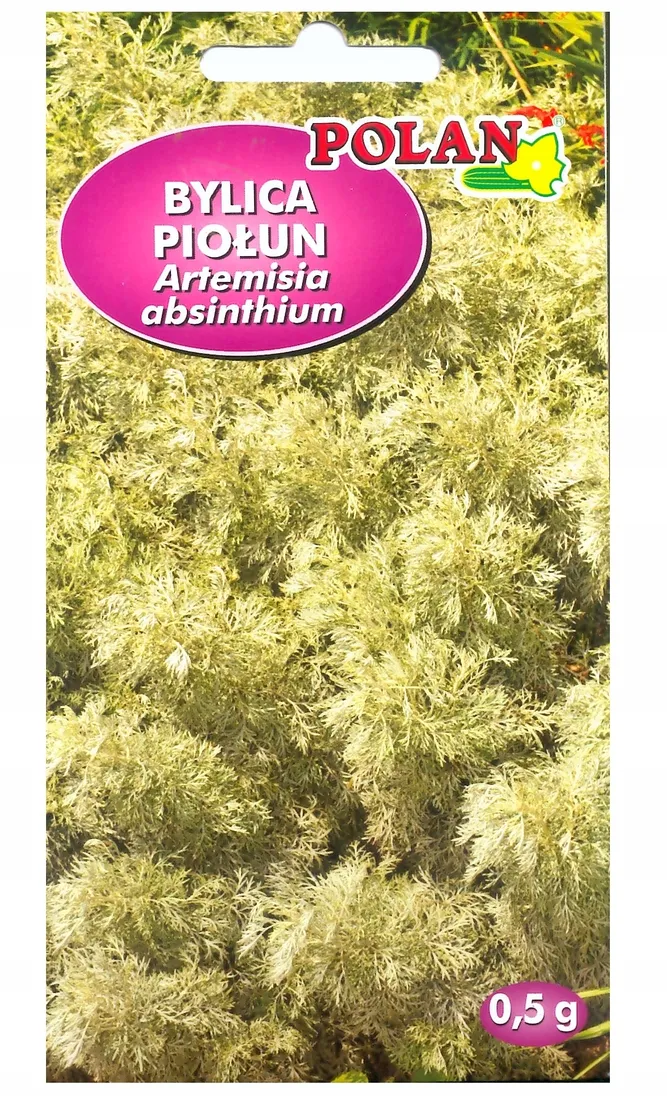 bylica-piolun-nasiona-05g-polan