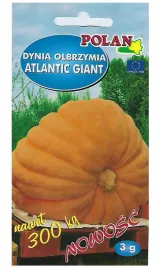dynia-olbrzymia-atlantic-giant-nawet-do-300kg-nasiona-3g-polan