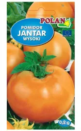pomidor-jantar-zolty-smaczny-wczesny-owoce-do-600g-nasiona-02g-polan