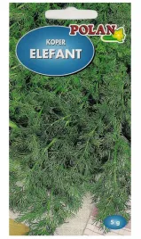 koper-ogrodowy-pozny-elefant-wydluzony-termin-zbioru-nasiona-5g-polan