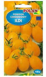 pomidor-ildi-wysoko-drobnicowy-zolty-02g-polan