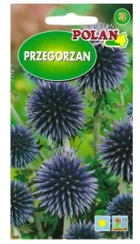przegorzan-pospolity-niebieskie-kwiaty-miododajny-nasiona-kwiatow-1g-polan