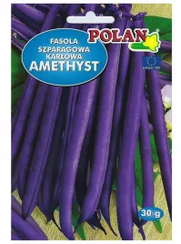 fasola-szparagowa-karlowa-fioletowa-amethyst-nasiona-30g-polan