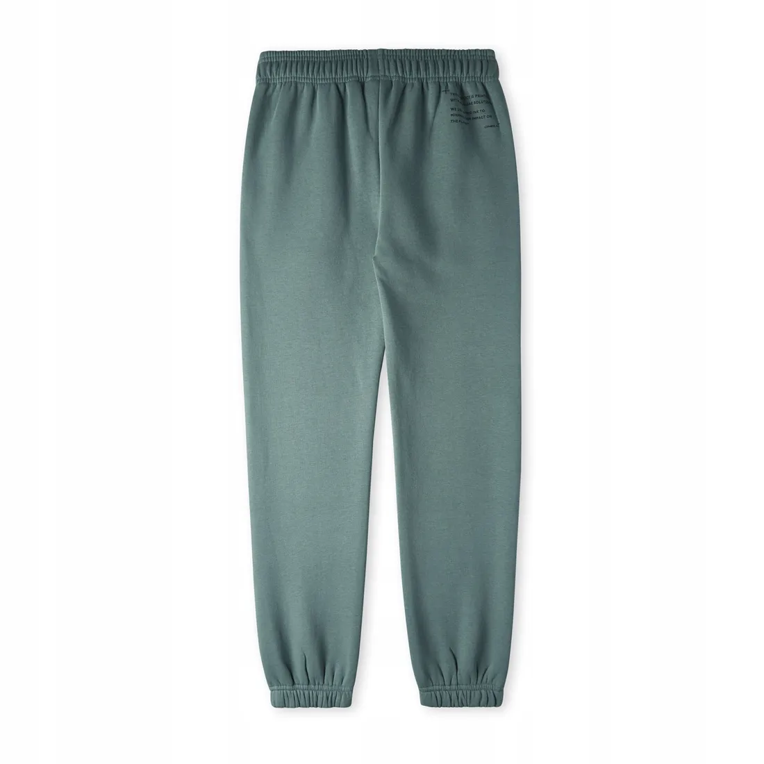 dzieciece-spodnie-future-surf-jogger-152