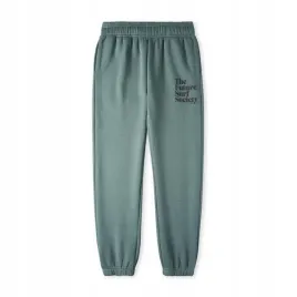 dzieciece-spodnie-future-surf-jogger-140