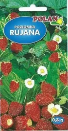 poziomka-wieloletnia-rujana-smaczna-odporna-plenna-nasiona-03g-polan
