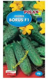 ogorek-gruntowy-sredniowczesny-borus-f1-typ-kwaszeniak-nasiona-5g-polan