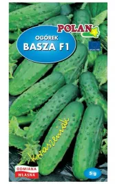 ogorek-gruntowy-basza-f1-wczesny-nasiona-5g-polan