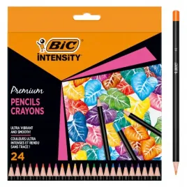 kredki-bic-intensity-premium-olowkowe-24-rozne-kolory-pudelko