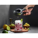 lemon-duo-kod-producenta-g89567