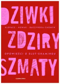 dziwki-zdziry-szmaty-opowiesci-o-slut-shamingu