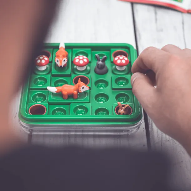 gra-hop-do-norki-smart-games-7-material-papier-stan-nowy