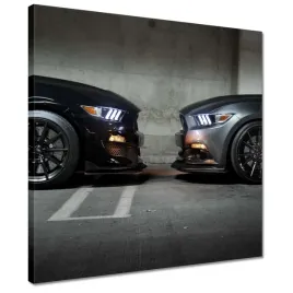 obrazy-40x40-ford-mustang-made-in-usa