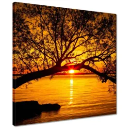obrazy-40x40-plaza-drzewo-morze