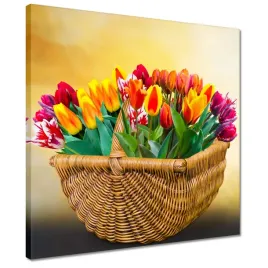 obrazy-40x40-tulipany-kwiaty-kwiatki