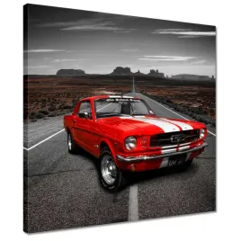 obrazy-40x40-ford-mustang