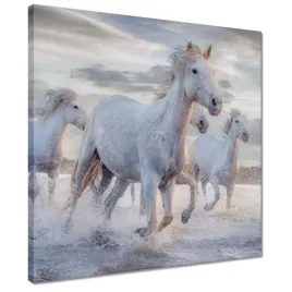 obrazy-40x40-dzikie-konie-wild-horses