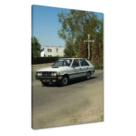 obrazy-40x60-polonez-borewicz-fso