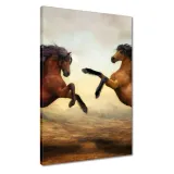 obrazy-40x60-konie-rumaki