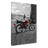obrazy-40x60-czerwony-simson-s51-e