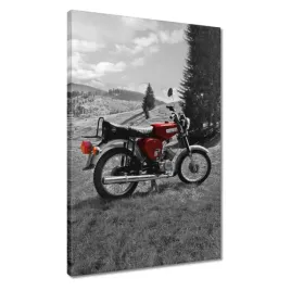 obrazy-40x60-czerwony-simson-s51-e