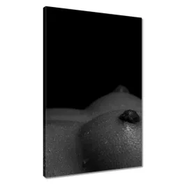 obrazy-40x60-cycki-biust-akt-kobiecy