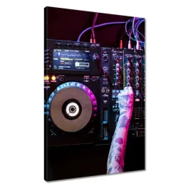 obrazy-40x60-dj-grajacy-muzyke-party