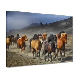 obrazy-40x30-kon-konie-jezdziectwo