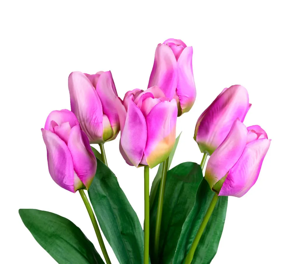 tulipany-bukiet-fioletowy