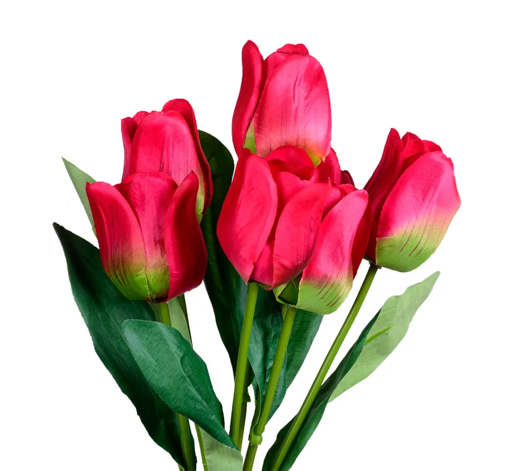 tulipany-bukiet-czerwony