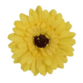 gerbera-glowka-musztardowa