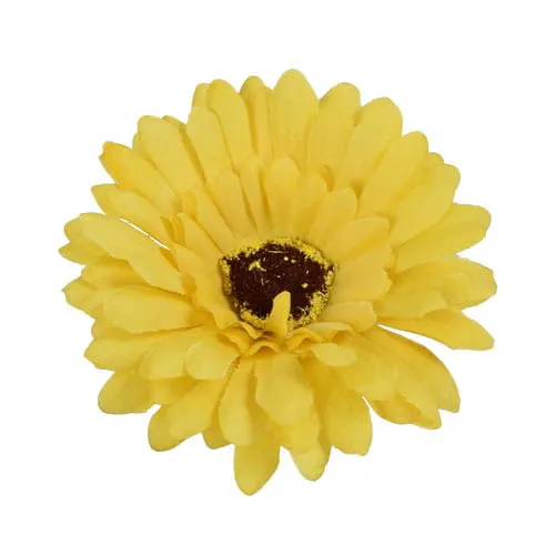 gerbera-glowka-musztardowa