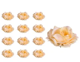 roza-glowka-sonia-jasno-brzoskwiniowa-12szt