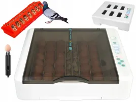 inkubator-automatyczny-noe36-dla-gesi-kaczek-indykow-golebi-klujnik-automat