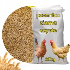 pszenica-paszowa-20kg-zboze-zbior-2024-kur-golebi