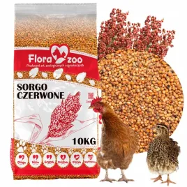 sorgo-czerwone-karma-pokarm-ziarno-dla-kur-drobiu-kaczek-gesi-ptakow