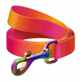 waudog-smycz-dla-psa-nylonowa-15mm-122cm-gradient-pomaranczowa-do-spacerow