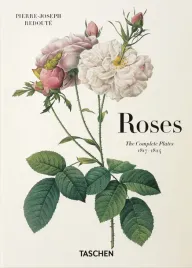 redoute-roses-wer-angielska