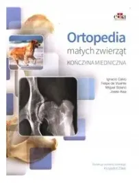 ortopedia-malych-zwierzat-konczyna-miednicza